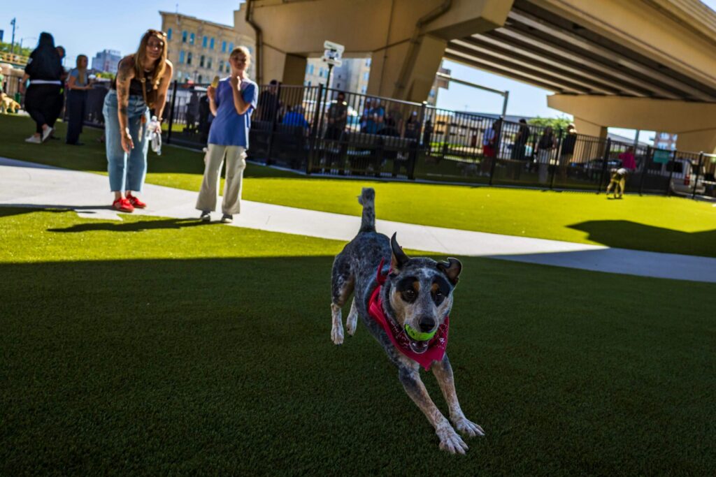 MKE Downtown Dog Park – Dog Park Design – Featured Image
